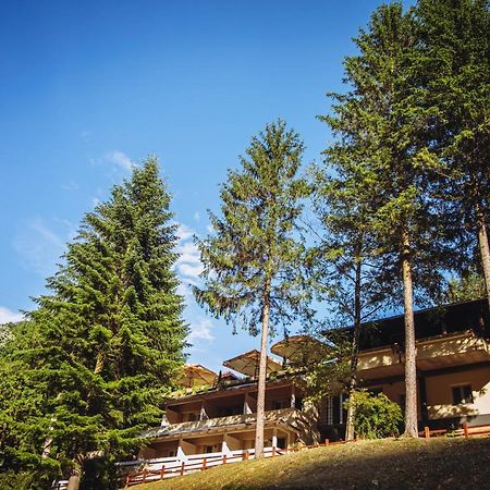 Restoran Sa Prenocistem Gornjak Krepoljin Εξωτερικό φωτογραφία