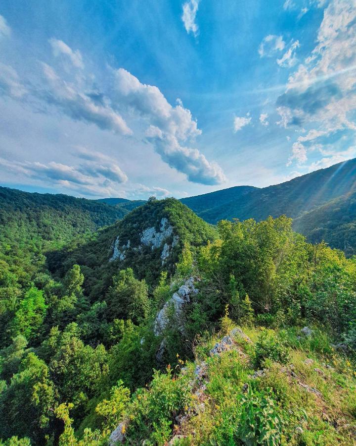 Restoran Sa Prenocistem Gornjak Krepoljin Εξωτερικό φωτογραφία