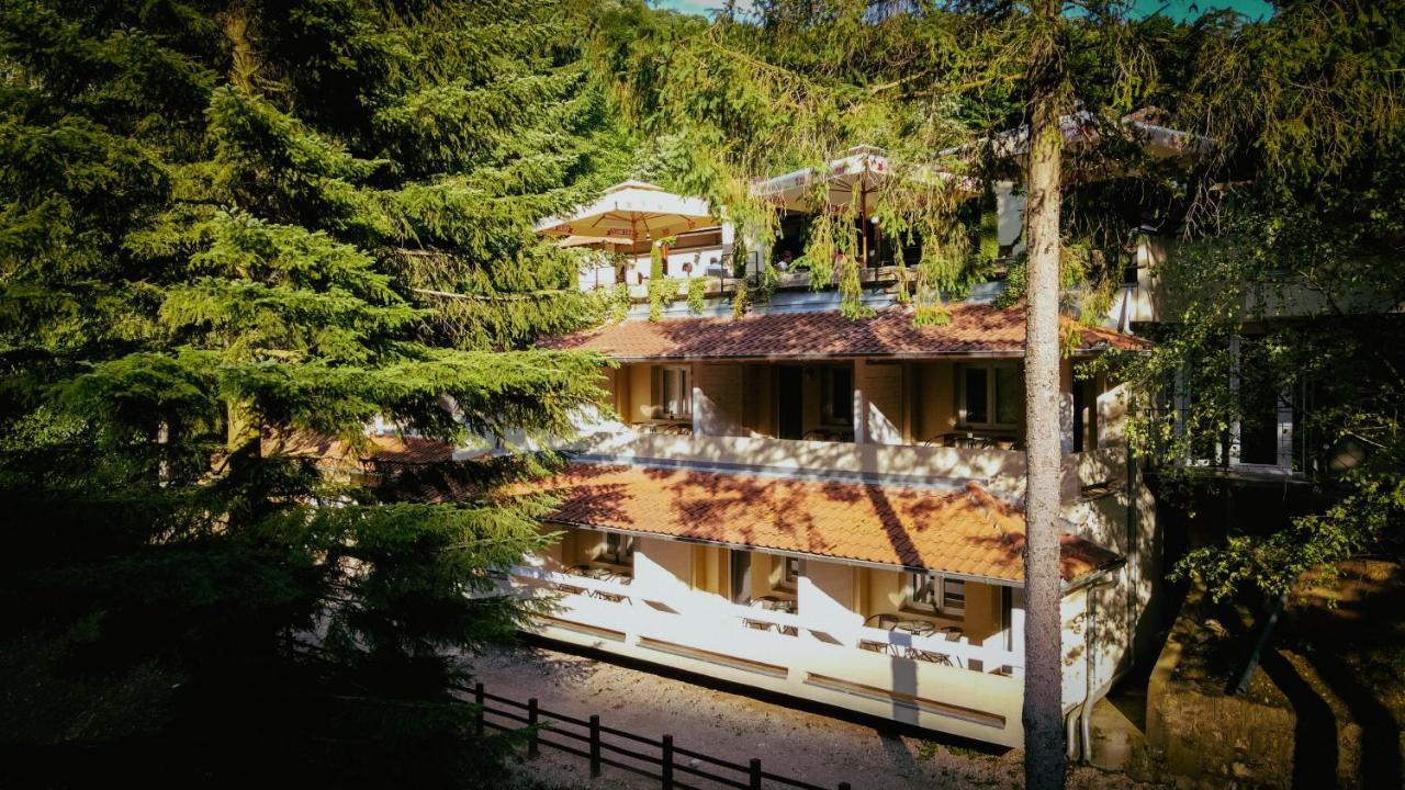 Restoran Sa Prenocistem Gornjak Krepoljin Εξωτερικό φωτογραφία